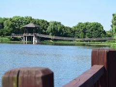 -荷塘月色湿地公园·向阳花洲
