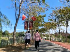 -上海长兴岛郊野公园