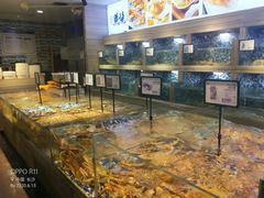 水产区-上座·餐厅(阳光100店)