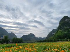 -靖西鹅泉风景区