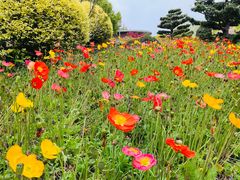 -上海市保健医疗中心