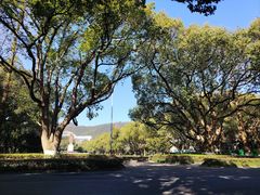 -浙江大学(玉泉校区)
