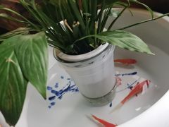 -小龙坎火锅(春熙太古里店)