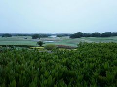 -滨海高尔夫俱乐部