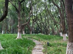 -南京珍珠泉风景区