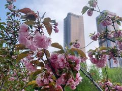 -大望京公园