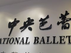 -中央芭蕾舞团·中芭艺蕾(酒仙桥明星校区)