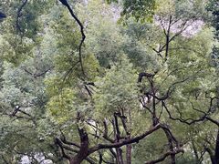 -晓港公园
