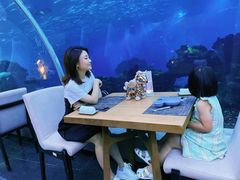 -涛·海底餐厅·美人鱼·自助餐·海底隧道(三亚海棠湾洲际度假酒店)