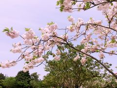 -上海植物园·停车场