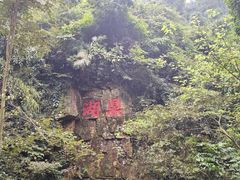 -鼎湖山风景区