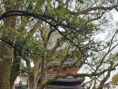 -普陀山风景名胜区-法雨禅寺