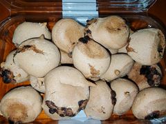 -Caten佳田(西湖丽日店)