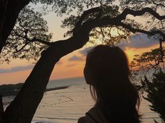 -Rimpa Lapin悬崖餐厅
