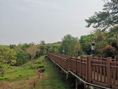 -立新湖公园