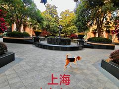 -上海凯宾斯基大酒店