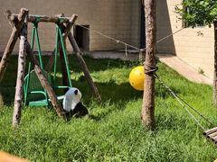 -石家庄市动物园