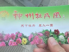 -神州牡丹园