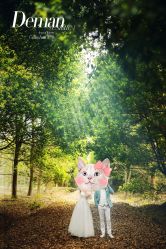 -帆拉斐婚纱摄影(春熙店)