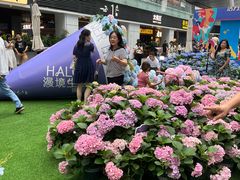 -HALO广场(梨园路店)