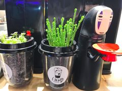 -白日梦奶茶