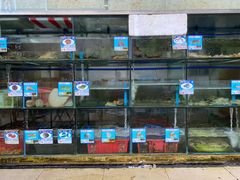 水产区-三亚老渔民海鲜店