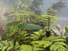 -北京植物园-展览温室