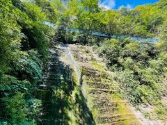 -鹿院坪生态旅游景区