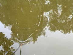 -朝阳公园游乐园