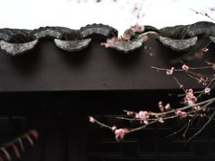 -巡塘古镇