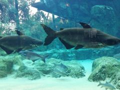 android_upload_pic-河川生态园