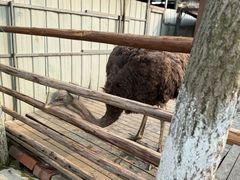 -洪湖家庭农场·团建·露营·会议