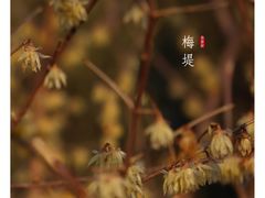 -洪泽湖古堰景区
