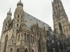 -斯蒂芬主教座堂(Stephansdom)