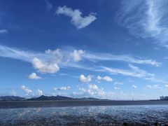 -深圳湾公园(南山区)