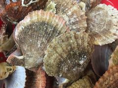 -东戴河风景区-止锚湾