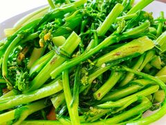 -天强农家菜馆