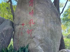-上海方塔园