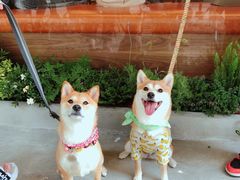 -Peet's Coffee皮爷咖啡(大学路店)