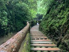 -青城山