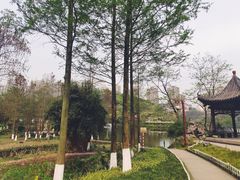 -重庆彩云湖湿地公园