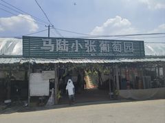 -马陆小张葡萄园农家乐