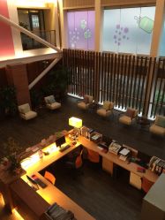 -知爱母婴专护全套房月子会所(新华路店)