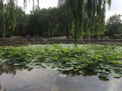 -阿尔丁植物园