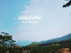 -阳台山自然风景区