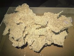 -天津自然博物馆