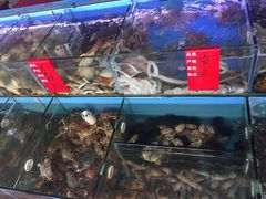 -阳光海鲜大排档