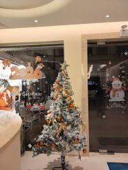 -普洛蒂亚·科技美肤中心