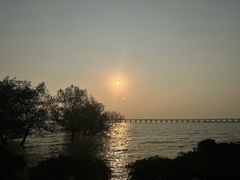 -宝安西湾红树林湿地公园