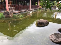 -西双版纳洲际度假酒店-海鲜傣味烧烤·侬香全日制餐厅